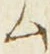 𡨸ム