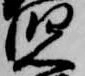 位置 確認된 児