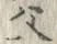글자 父