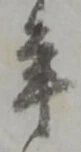 年 위치 확인됨