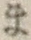 字ま
