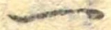 一の位置