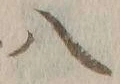 字八