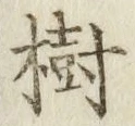 글자 樹