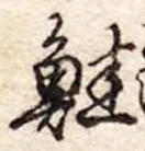 鮭 위치 확인됨