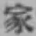글자 家