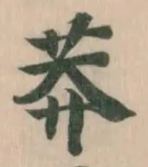 莽の位置