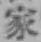 글자 家
