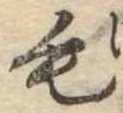 毛 위치 확인됨