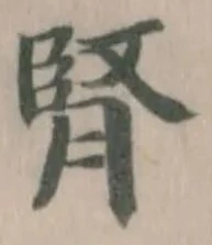 腎 위치 확인됨