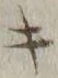 字キ