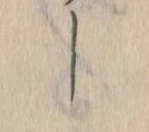位置定マレルし