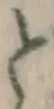 글자 と