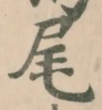 尾 위치 확인됨