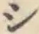 글자 シ
