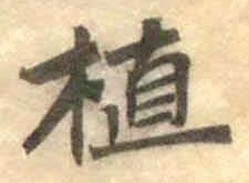 글자 植