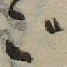 位置 確認된 ご
