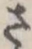 Đã định vị さ