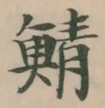 鯖 위치 확인됨