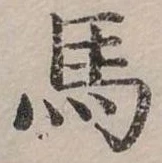 馬 위치 확인됨