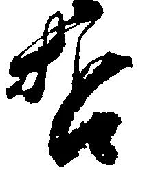 哲の位置