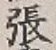 글자 張
