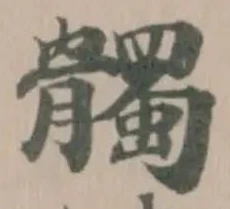髑 위치 확인됨
