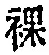 Character 裸