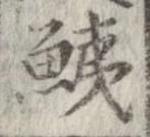 鮧 위치 확인됨