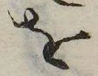 已定位𛄜