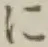 文字に
