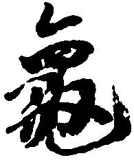 已定位亀