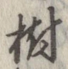 樹，已得其位