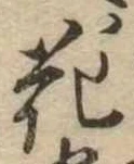 花 위치 확인됨