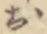 お 위치 확인됨