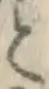 文字と