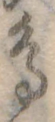 鳥 위치 확인됨