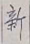 글자 新