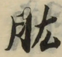 肱の位置