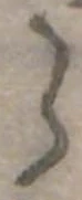 位置 確認된 ゝ