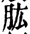 文字肱