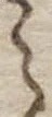 之 위치 확인됨