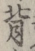 背 위치 확인됨