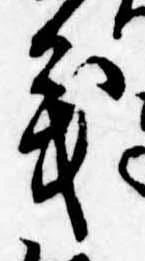 位置 確認된 義