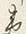 文字州