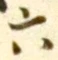 「六」字