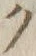 “ク”字