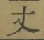 글자 丈