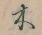 位置定マレル木