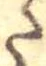 𛁠 위치 확인됨